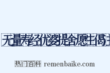 无量寿经优婆提舍愿生偈注是什么意思的图片